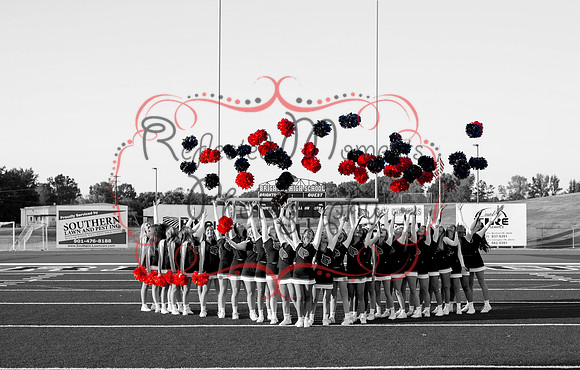 Poms Up BW