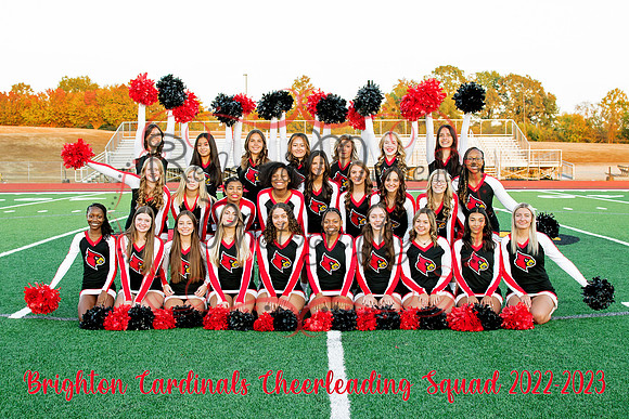 Squad Poms Field Line Logo