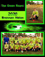 Green Beans 2020